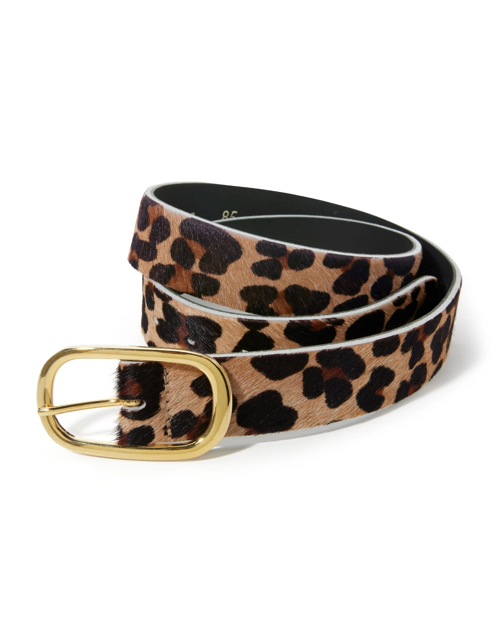 Animal Modern Classic Belt Multi - Futureuc