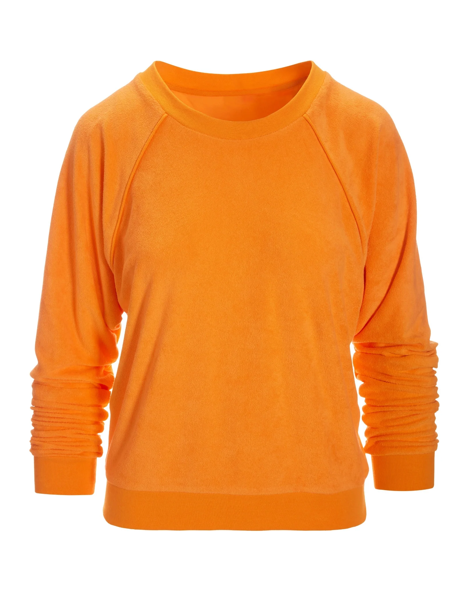 Beach Terry Crew Neck Sweatshirt Birds of Paradise - Futureuc